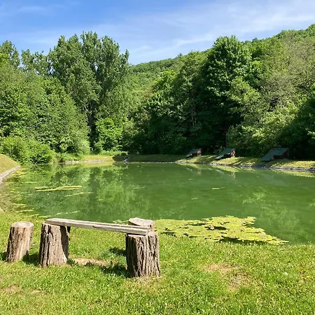 Zlaty Pav *